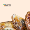 sin gluten campanar panaderia artesana baking free celiacos valencia pan sin gluten san valentin pascua roscon campanar